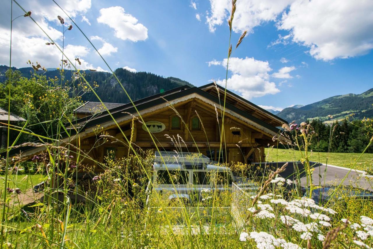 Chalet Carnauba Châtel Dış mekan fotoğraf